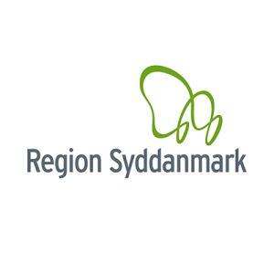 40px-Region_Syddanmark-a265194d VIArt - Vision of Interactive Art